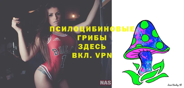 apvp Белокуриха
