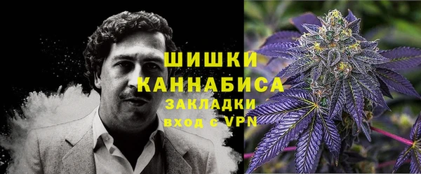 apvp Белокуриха