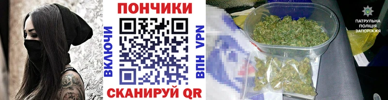 Конопля сатива Кодинск